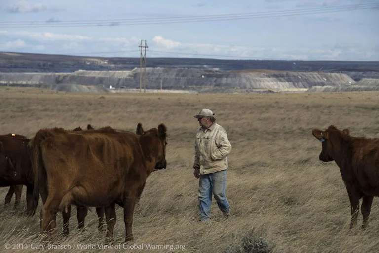 Here is Rancher, LJ Turner with his cattle (credit: Gary Braasch )