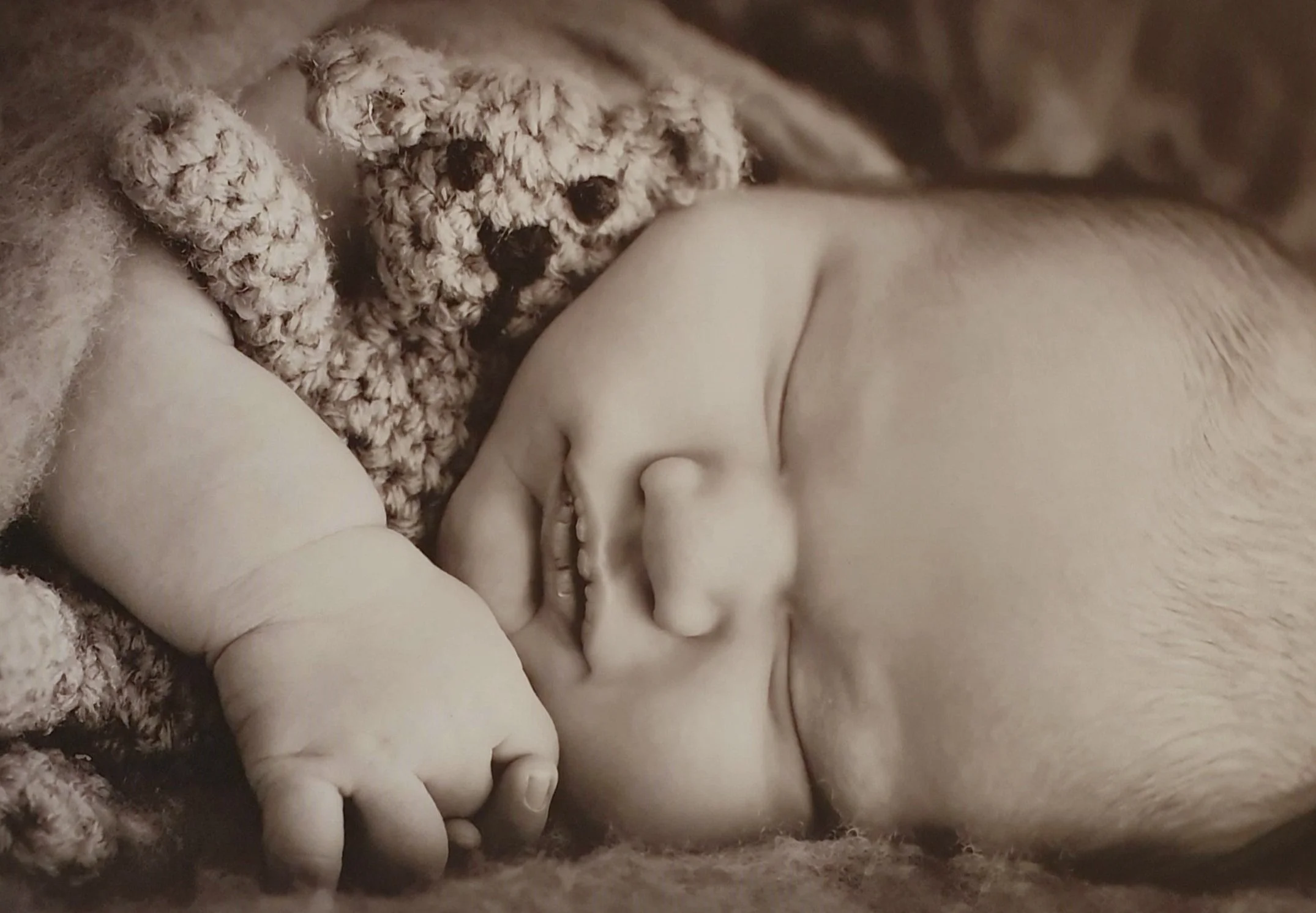Baby%252BOrmsby.jpg