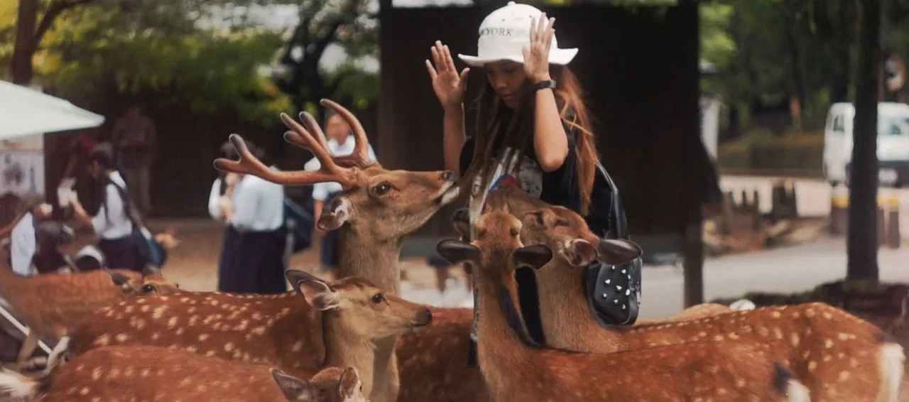 Digital Visions - Japan