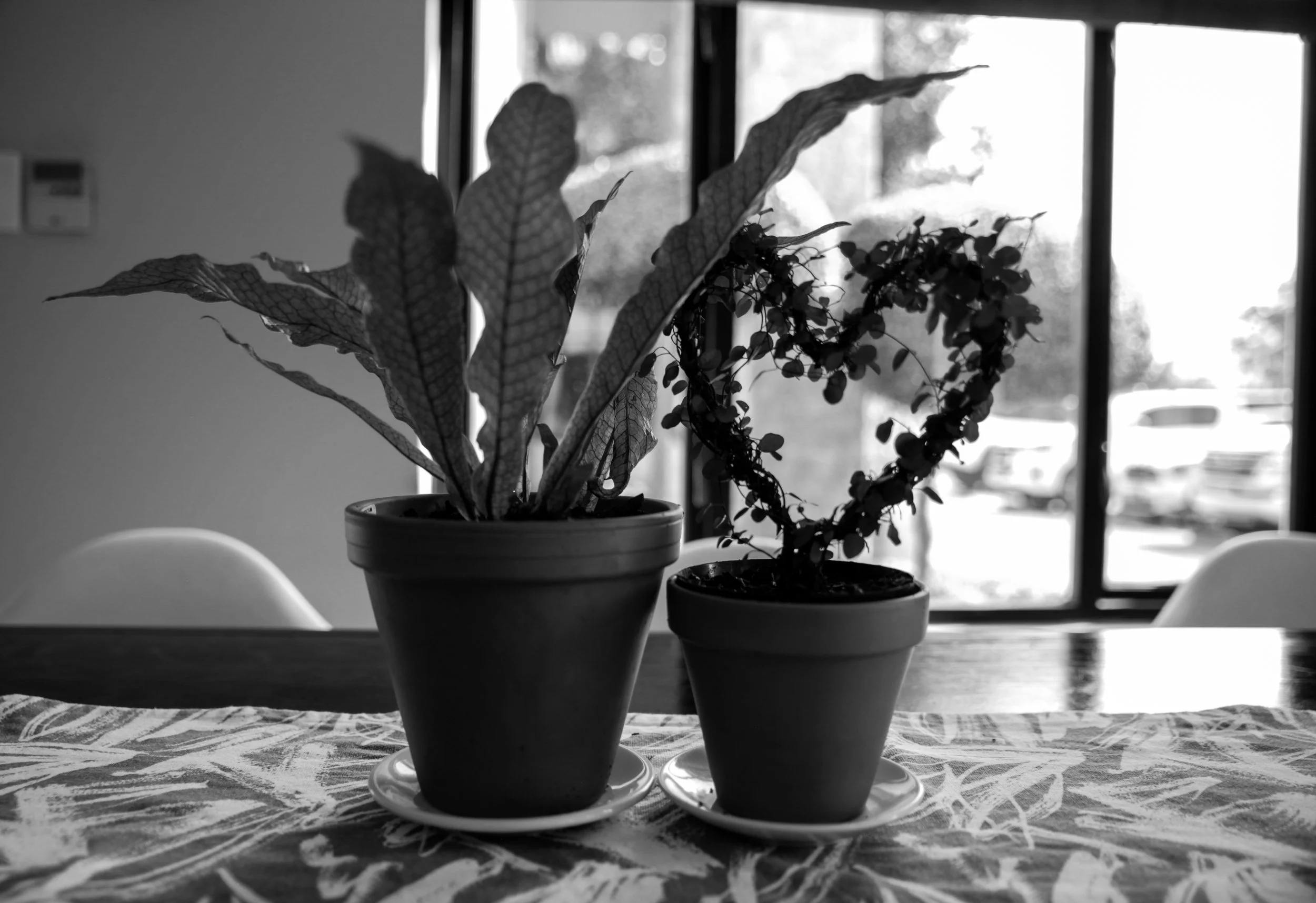 Gallery — Komodo Guesthouse