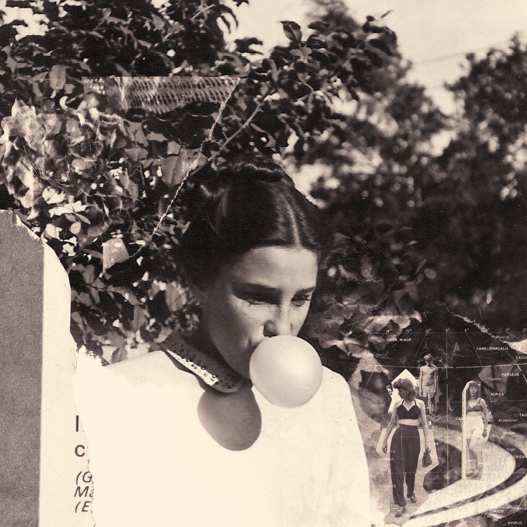 cover She Keeps Bees Eight Houses vinyl CD