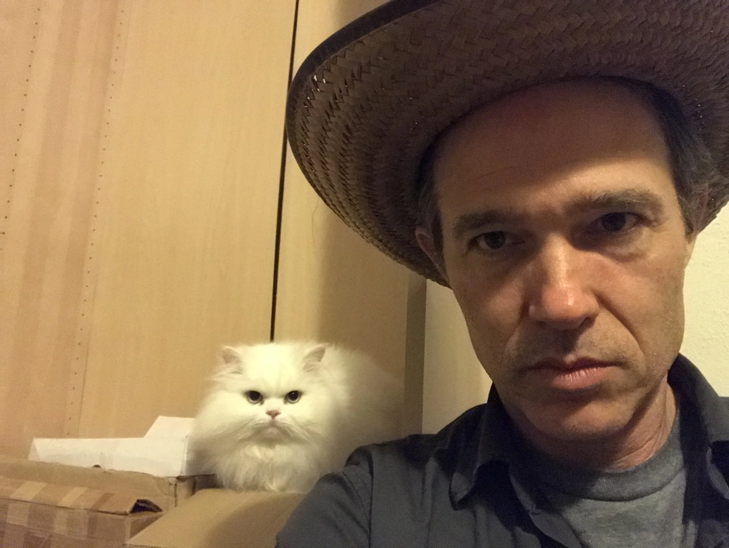 SimonJoyner_PocketMoon_Cat_20190809.jpg