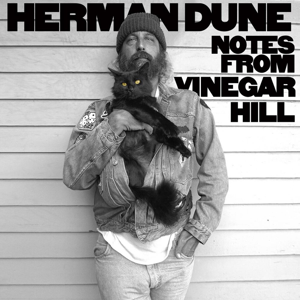 Herman Dune Vinyl CD Notes From Vinegar Hill