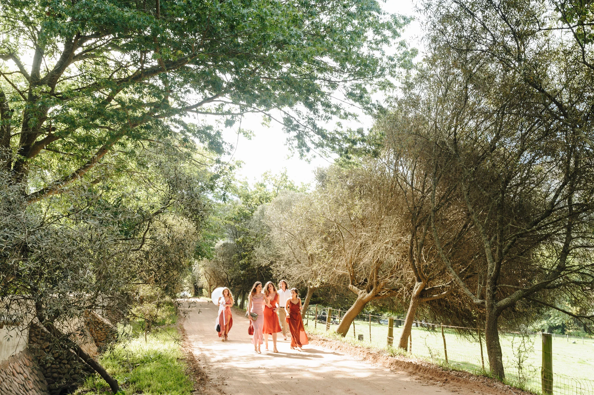 Cape Town Destination Luxury Wedding Photography Andrea Kellan -174.jpg