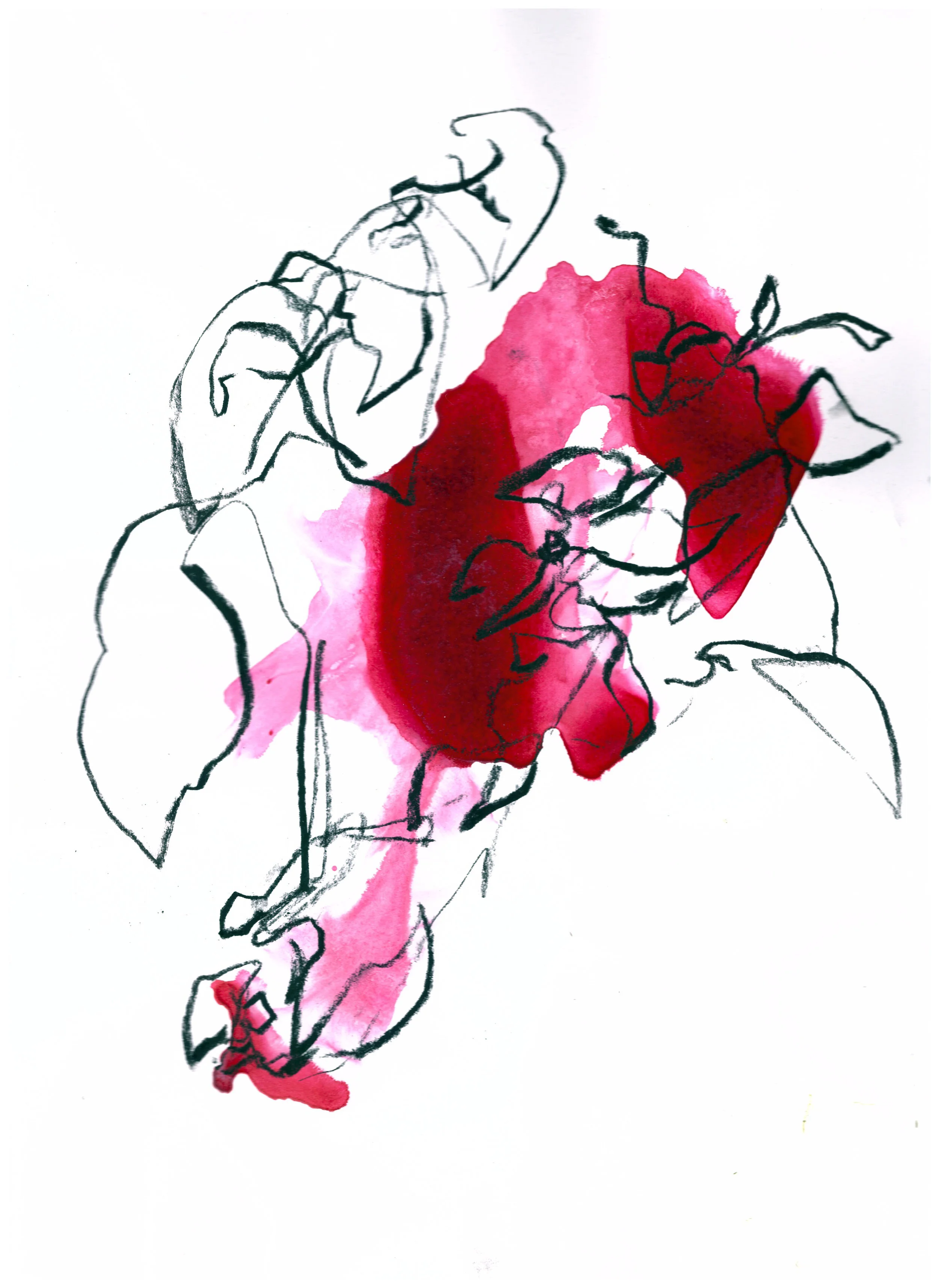 garden_08 charcoal and acrylic on paper 23 X 30.5 cm 2017