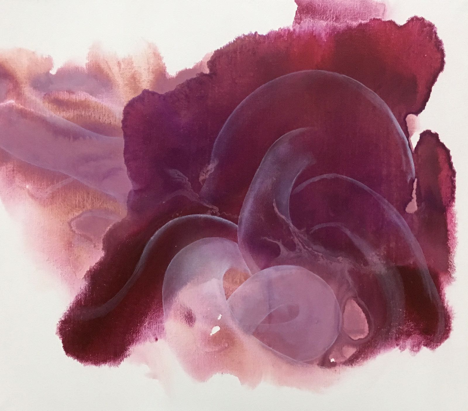 entanglement_05 oil on canvas 53 X 45 cm 2016