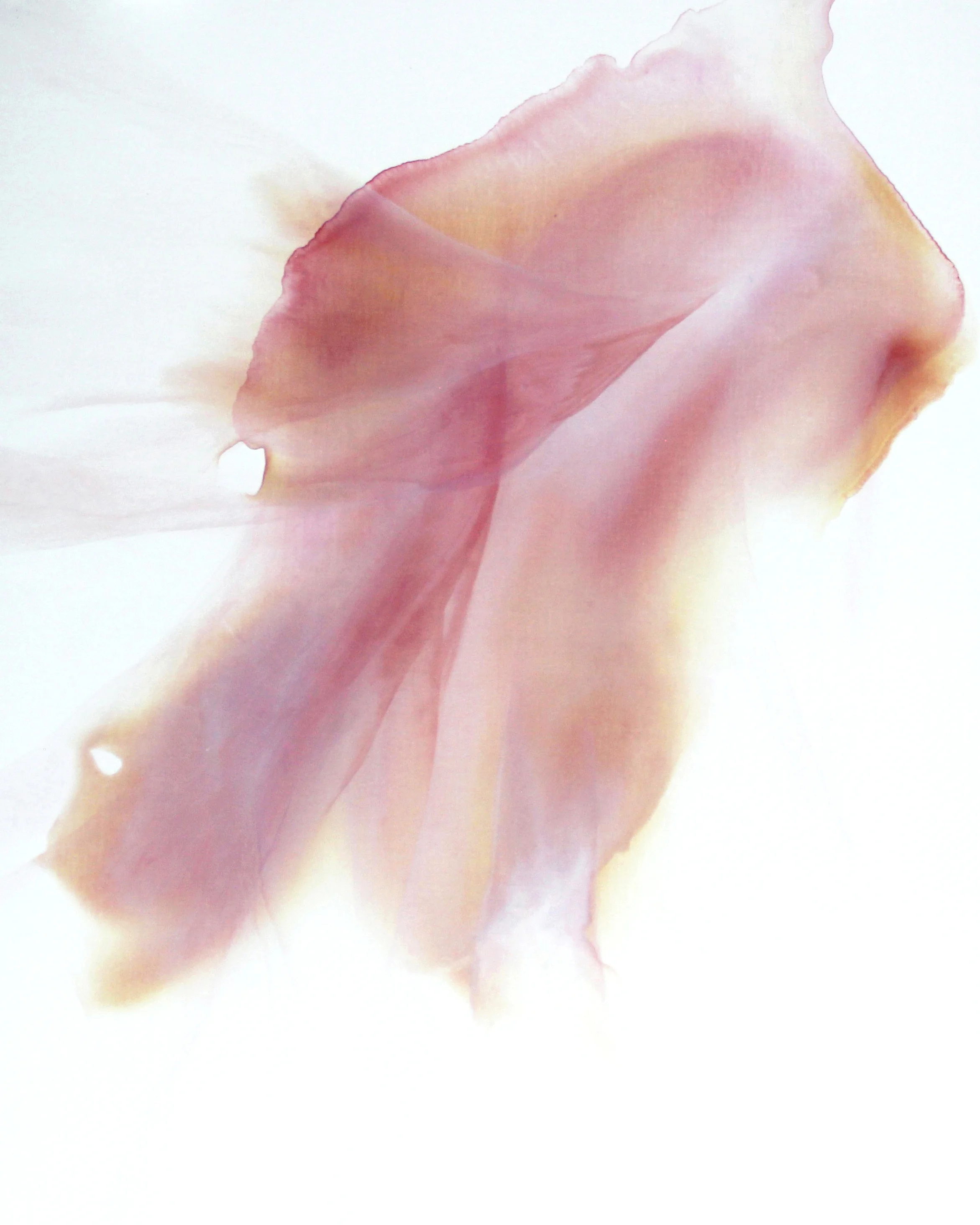 ephemeral_10 oil on canvas 91 X 117 cm 2017