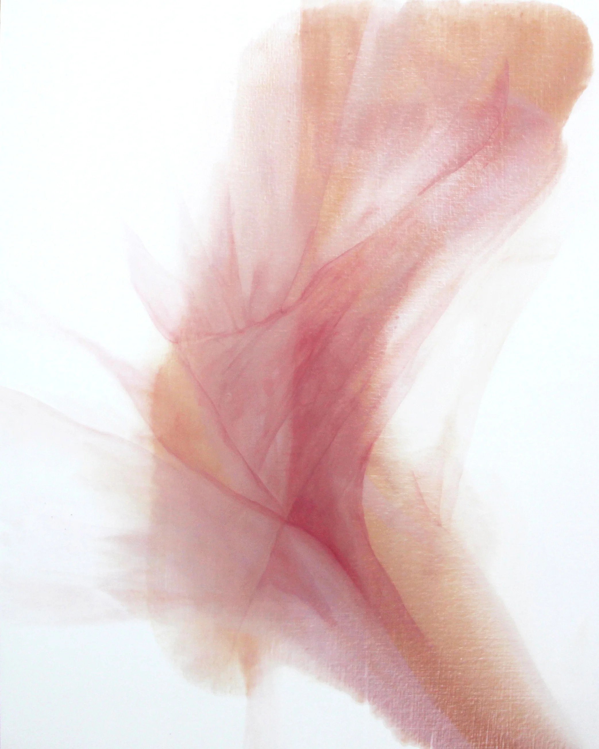 ephemeral_01 oil on canvas 91 X 117 cm 2017