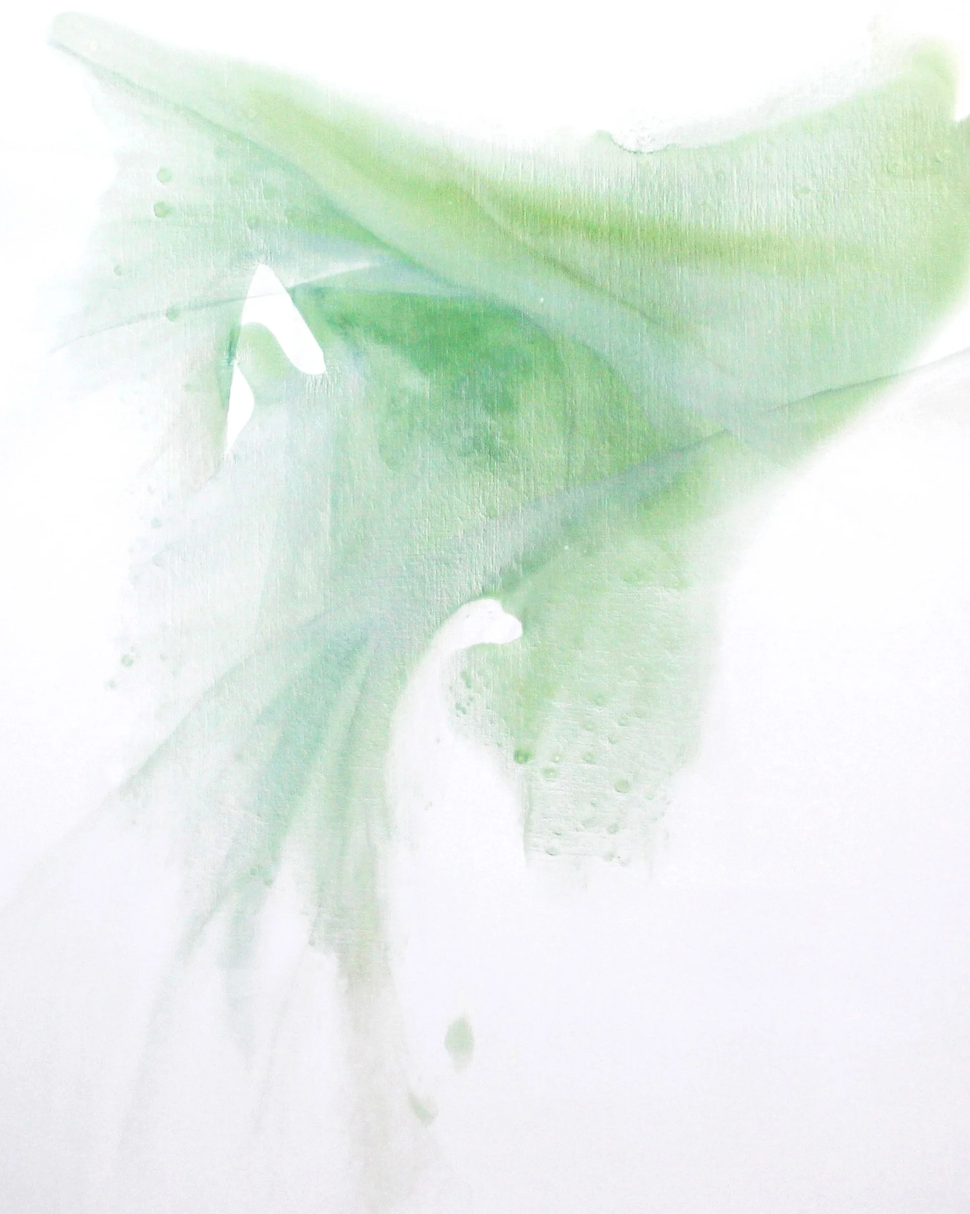 ephemeral_03 oil on canvas 80 X 100 cm 2017