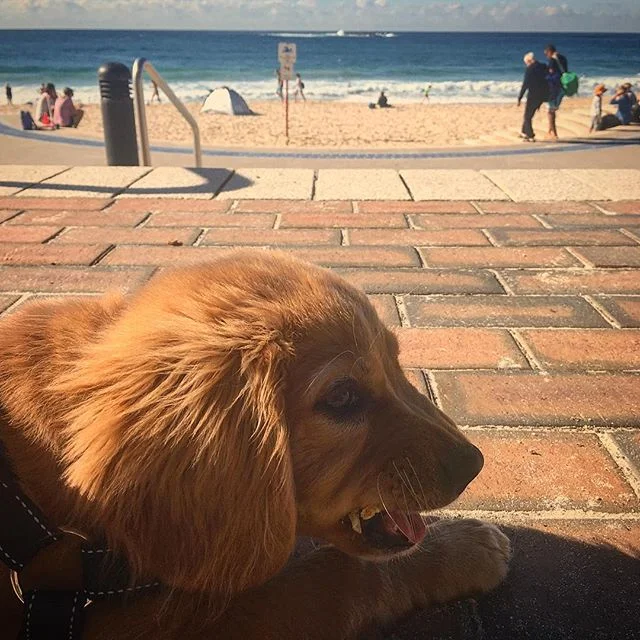 Nothing like a lazy trip to the beach on #goodasfriday
