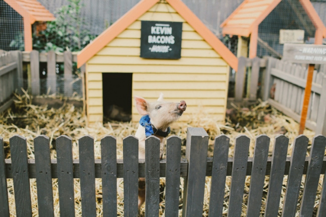 grounds-alexandria-wedding-kevin-bacon.jpg