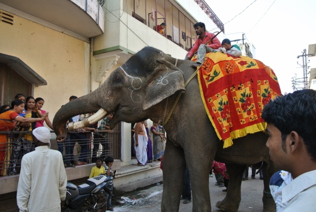 Maha Shiv Ratri Celebration (6) (640x430).jpg