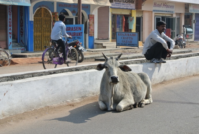 Khajuraho Cow and man resting (640x430) (640x430).jpg