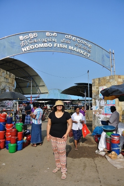 Negombo Fish Market (1) (685x1024) (428x640).jpg