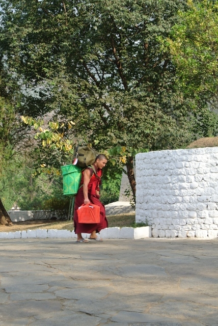 Punakha Dzong (27) (428x640).jpg
