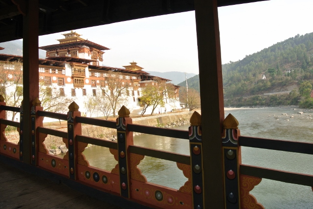 Punakha Dzong (34) (640x428).jpg