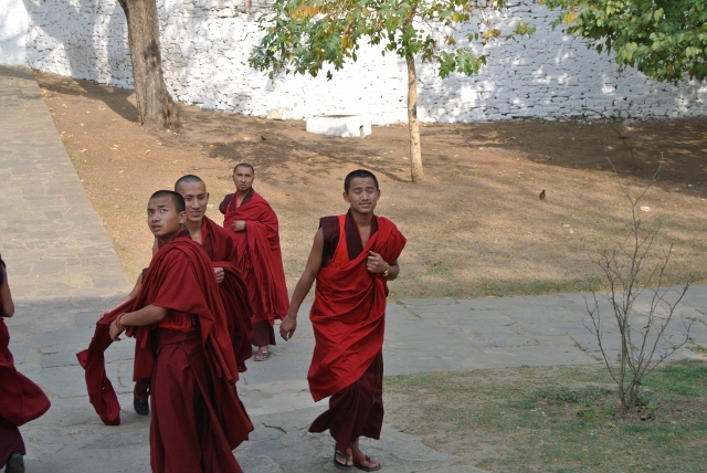 Punakha Dzong (32) (640x428).jpg