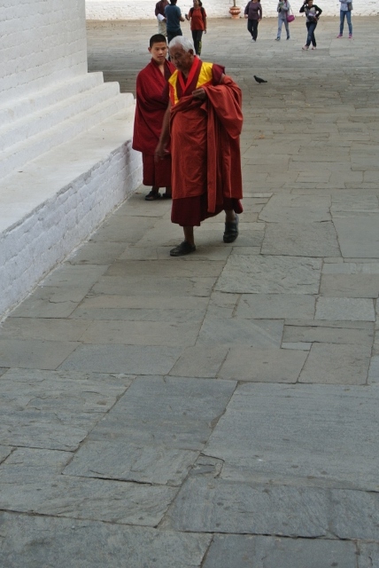 Punakha Dzong (43) (428x640).jpg