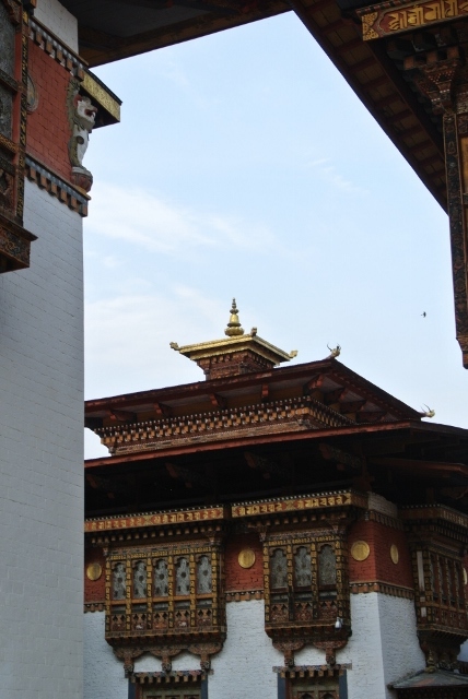 Punakha Dzong (52) (428x640).jpg
