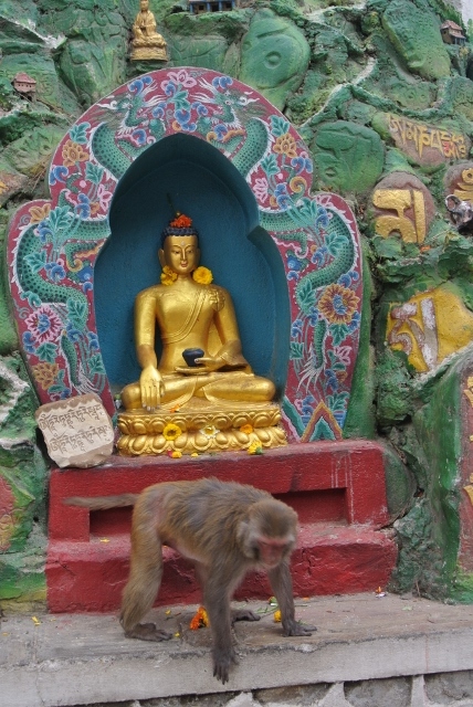 Aamideva BuddhaPark (6) (428x640).jpg