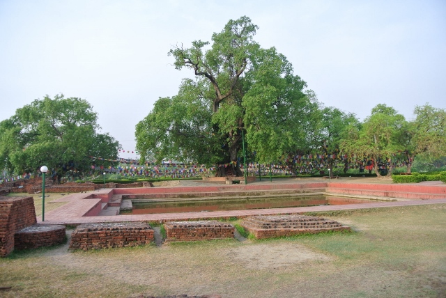 Pond where Buddha first bathed (640x428).jpg