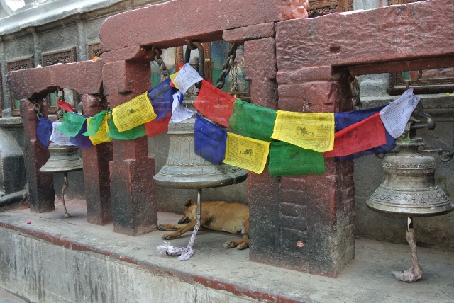 Boudhanath Temple in Kathmandu, several police incidents have occurred here with Tibetan refugees