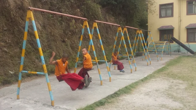 Tibetan Monks in training, they are taking a quick break between science class