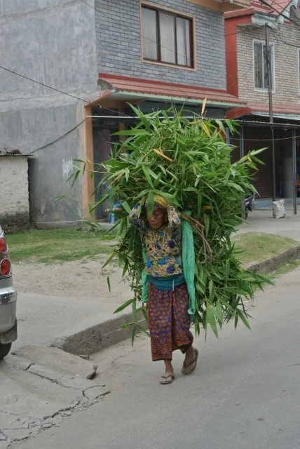 Sometimes labor jobs are all Tibetans can find