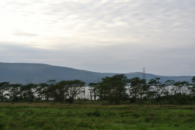 Lake Nakuru (2) (640x428).jpg