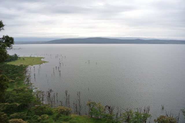 Lake Nakuru (10) (640x428).jpg