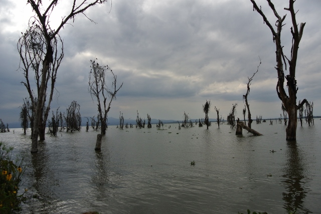 Lake Naviasha (3) (640x428).jpg