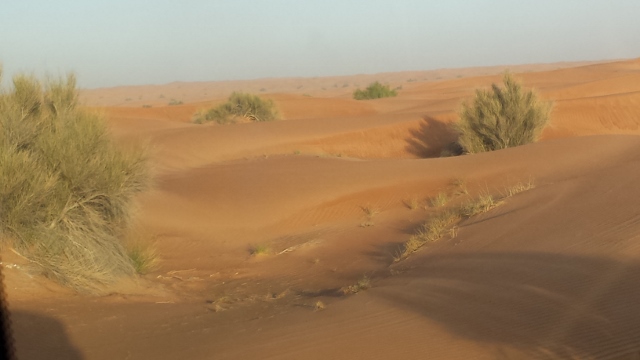 Desert Safari (6) (640x360).jpg