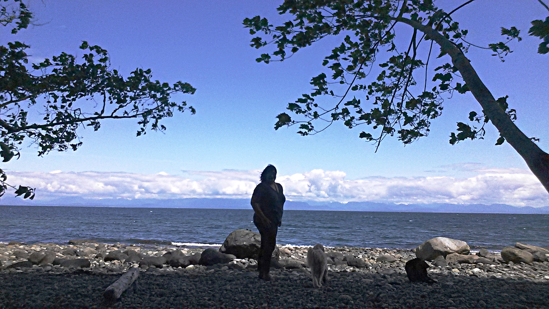 Courtenay - Seal Bay Nature Park (15).jpg