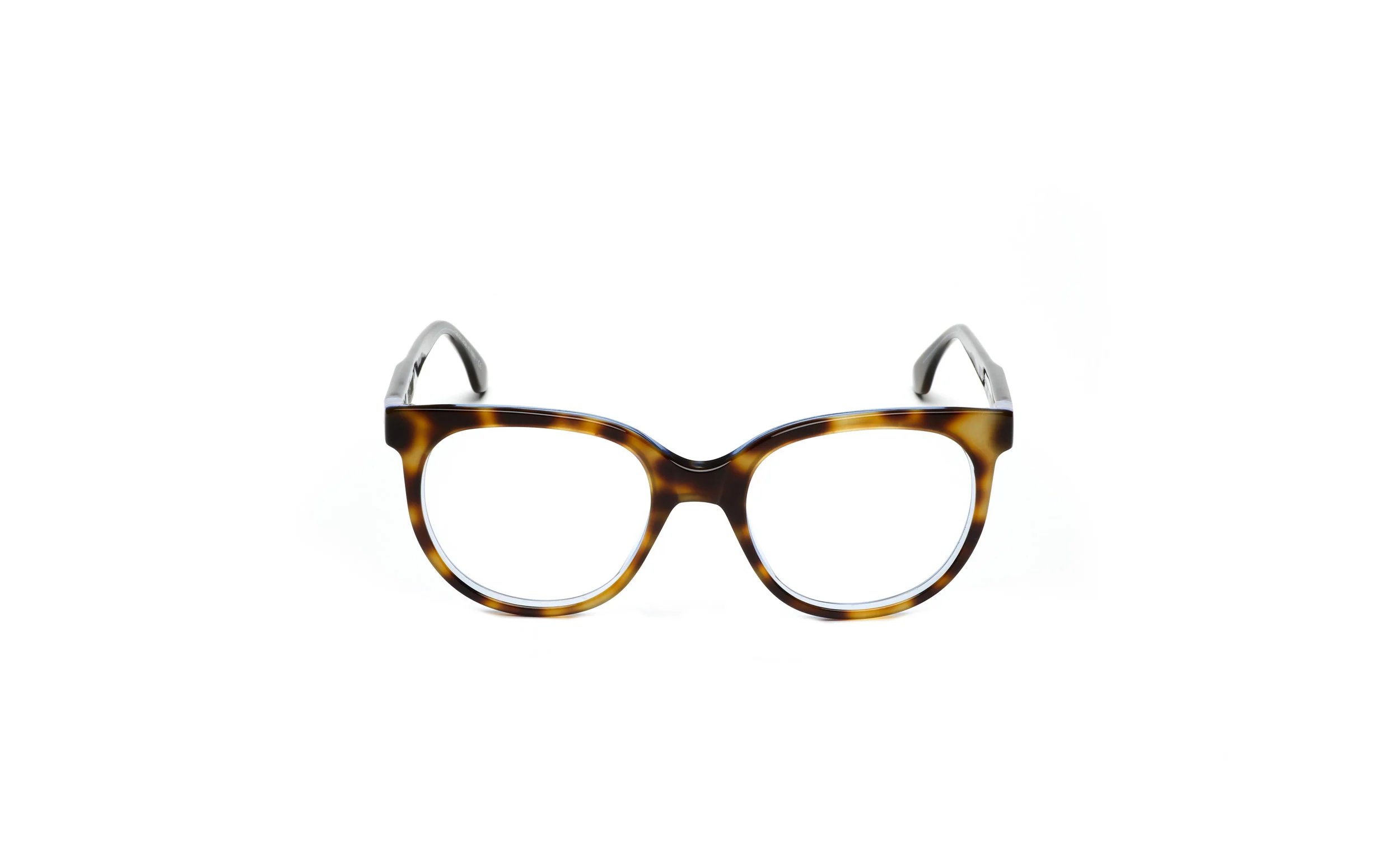 CLAIRE GOLDSMITH ROUSSEAU Electric Tortoise 1.jpg