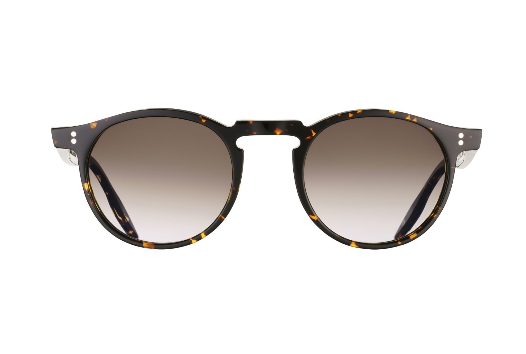 Locataire Dark Tortoise A.jpg