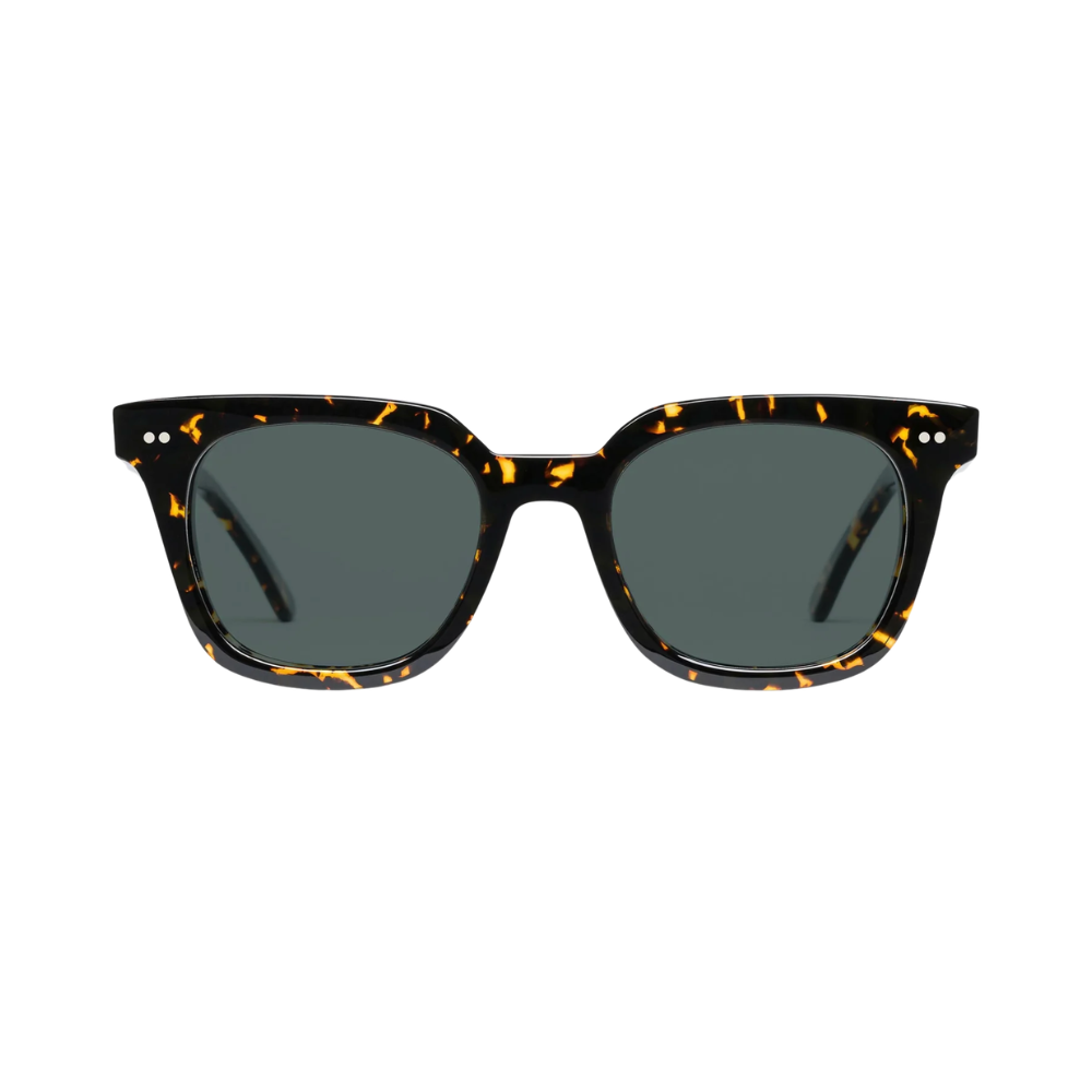 STRANGER DARK TORTOISE 1.png