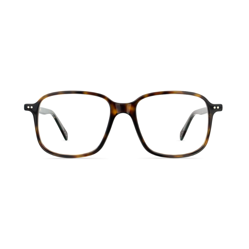 460 HAVANA FONCE 1.png