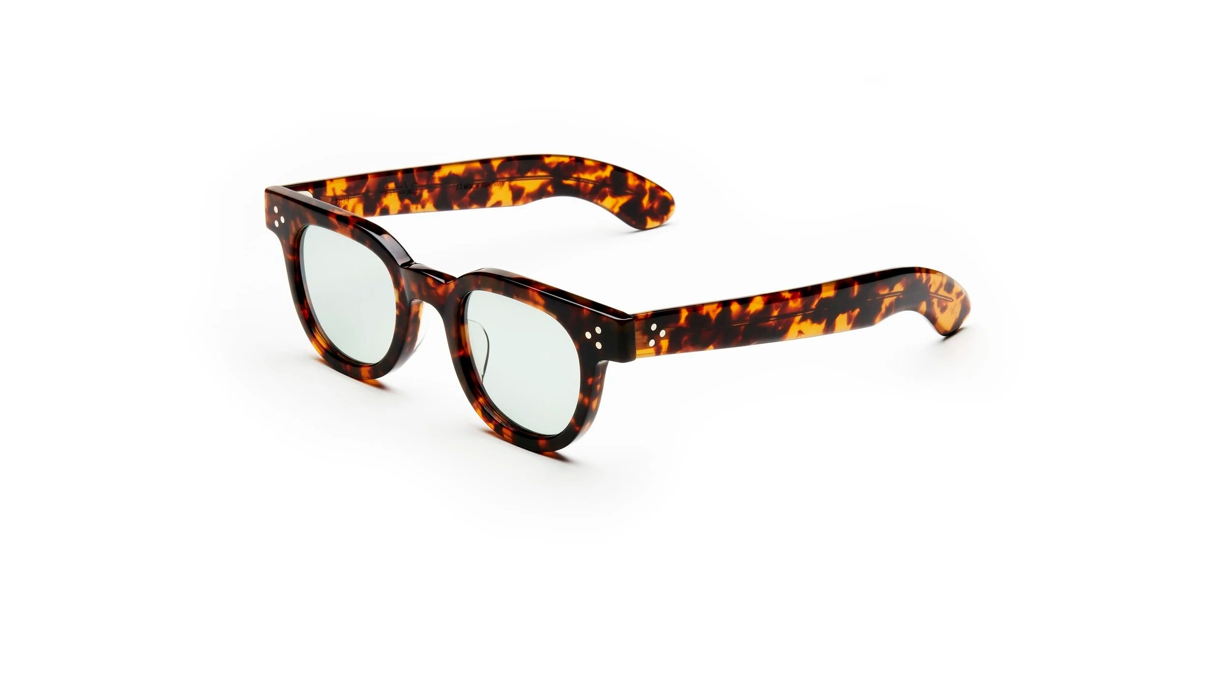 JULIUS+TART+-+FDR+SUN+-Tortoise+B.jpg