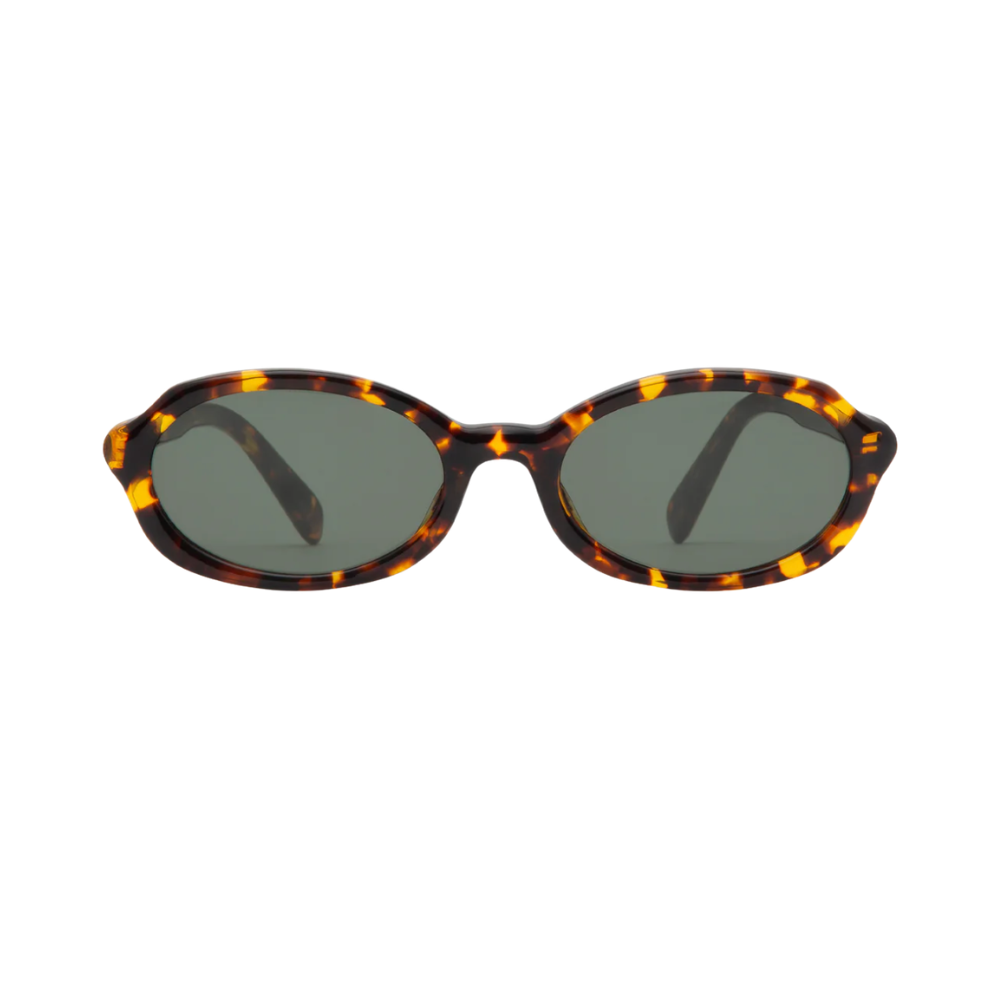 CREATOR TORTOISE 1.png