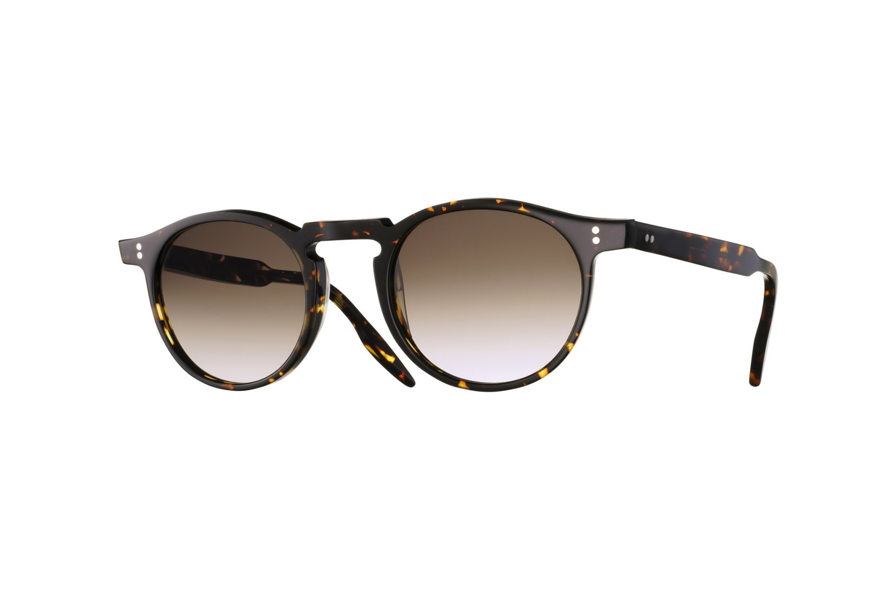 Locataire Dark Tortoise B.jpg