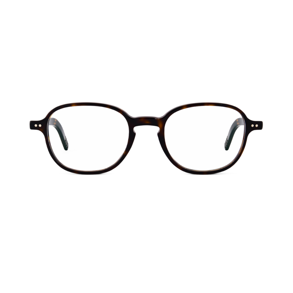 508 HAVANA FONCE 1.png