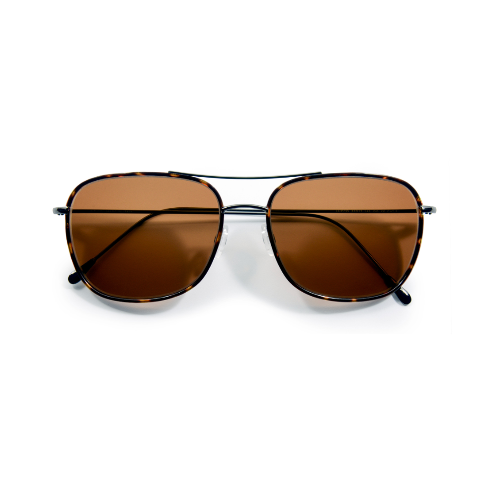 LUCCO TORTOISE 1.png