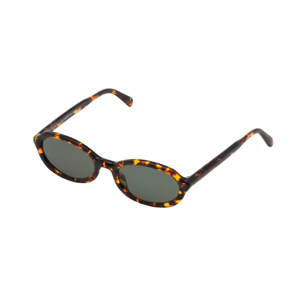 CREATOR TORTOISE 2.png