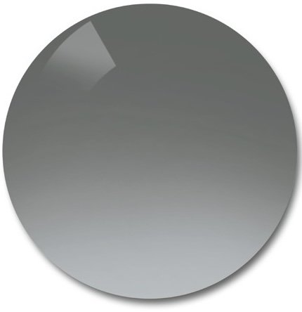 GRIS.jpg