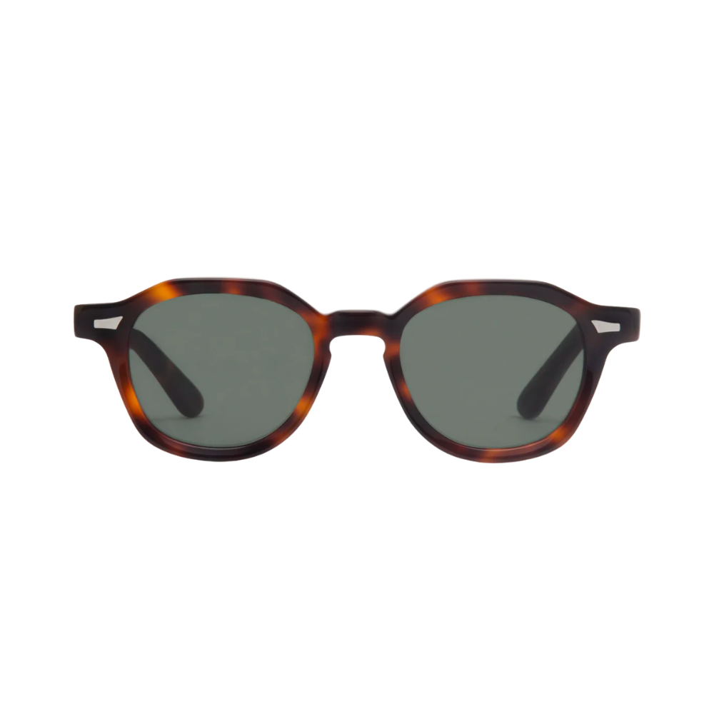 DEALER TORTOISE 1.png