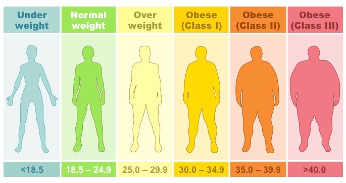 bmi-categories_med.jpeg