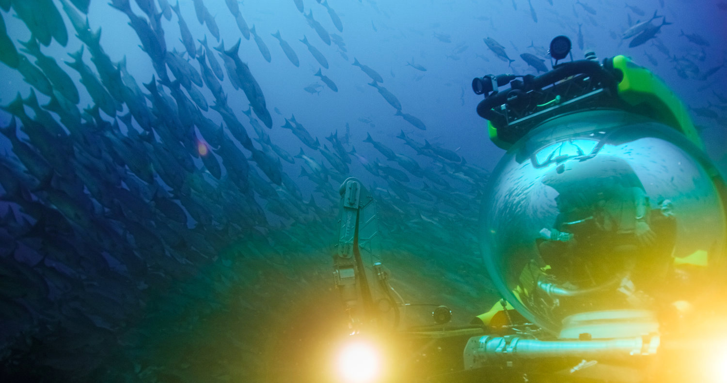 THE DEEP BLUE