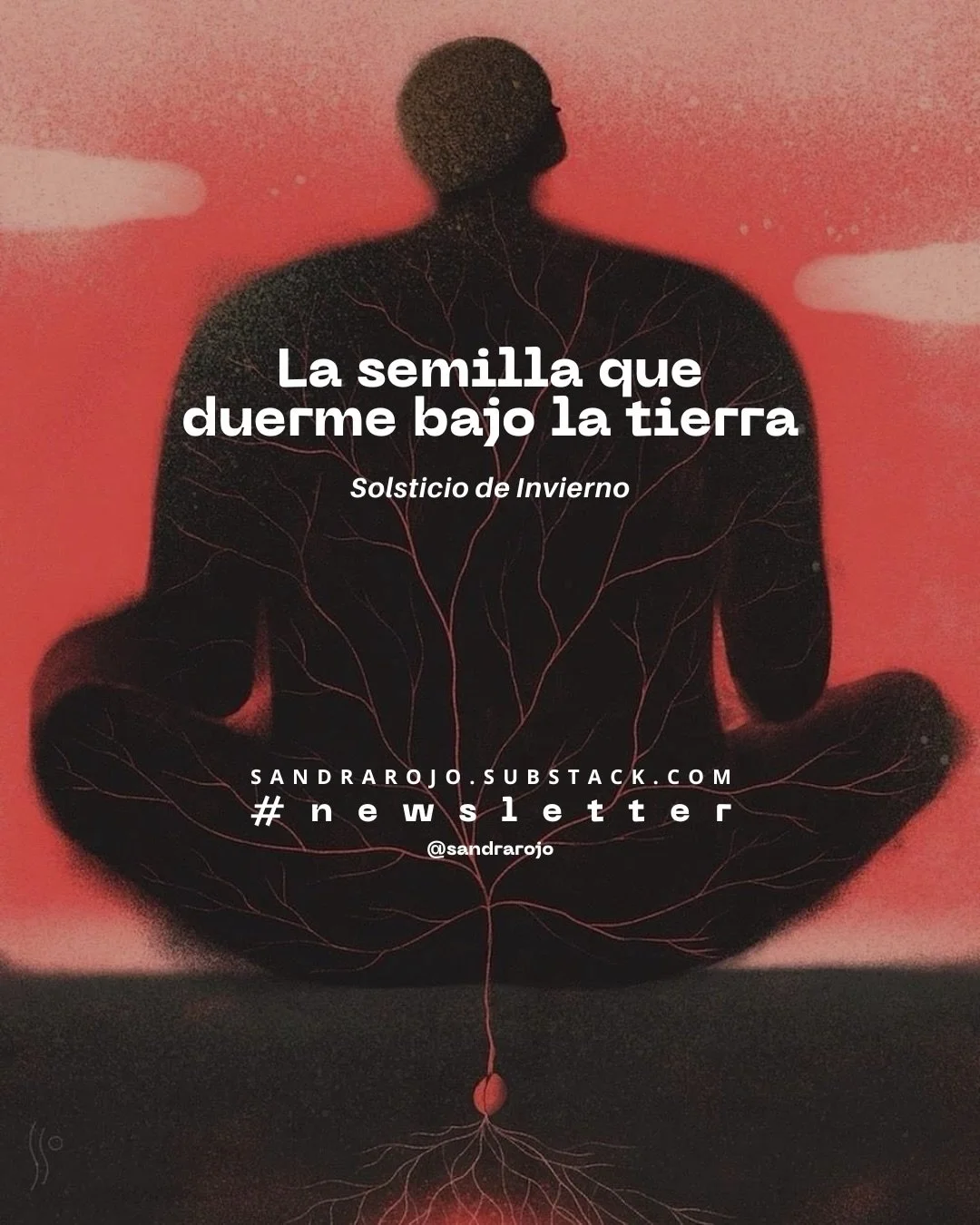 Feliz solsticio ✨

Nueva newsletter ya en tu buz&oacute;n 
Link en bio para acceder a Substack si a&uacute;n no la recibes 😊

#sandrarojo #newsletter #solsticiodeinvierno #substack #espiritualidad