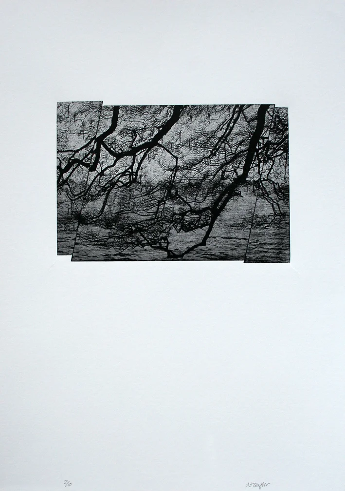 Walking the Coast: South