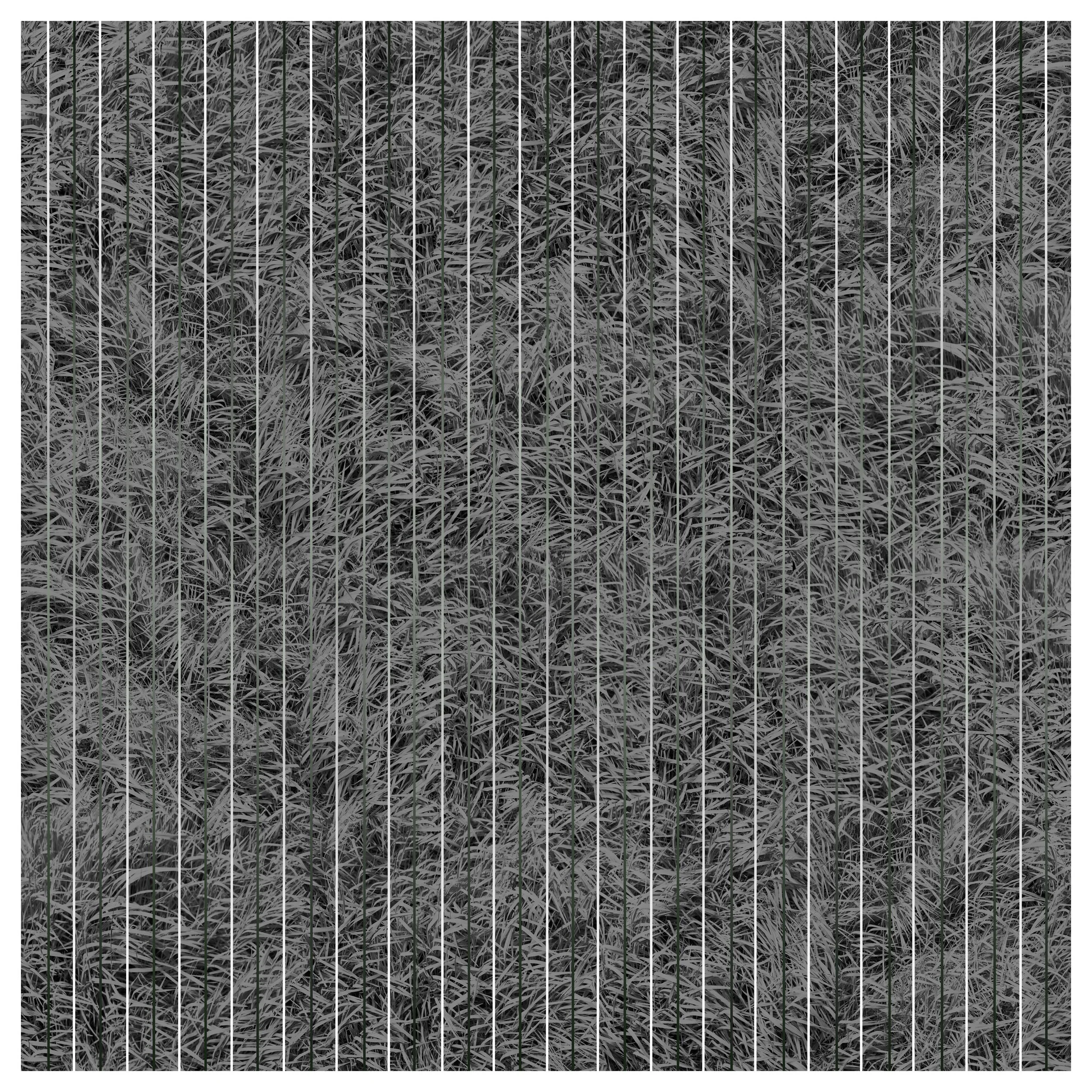   Parallel   Archival Pigment Print on Hahnemuhle Paper  (unique edition)  50 x 50cm           